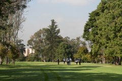 golf2020-2868