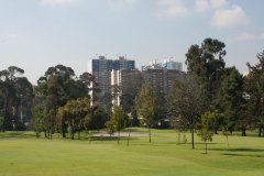 golf2020-2876