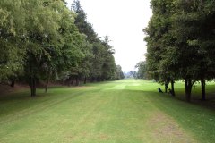 golf2020-2917