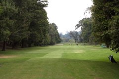 golf2020-2918