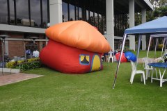 DSCN4134