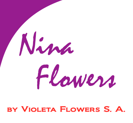 violeta-flowers_01.png