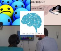 Neufeedback02s.jpg