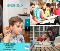 Neufeedback01s.jpg